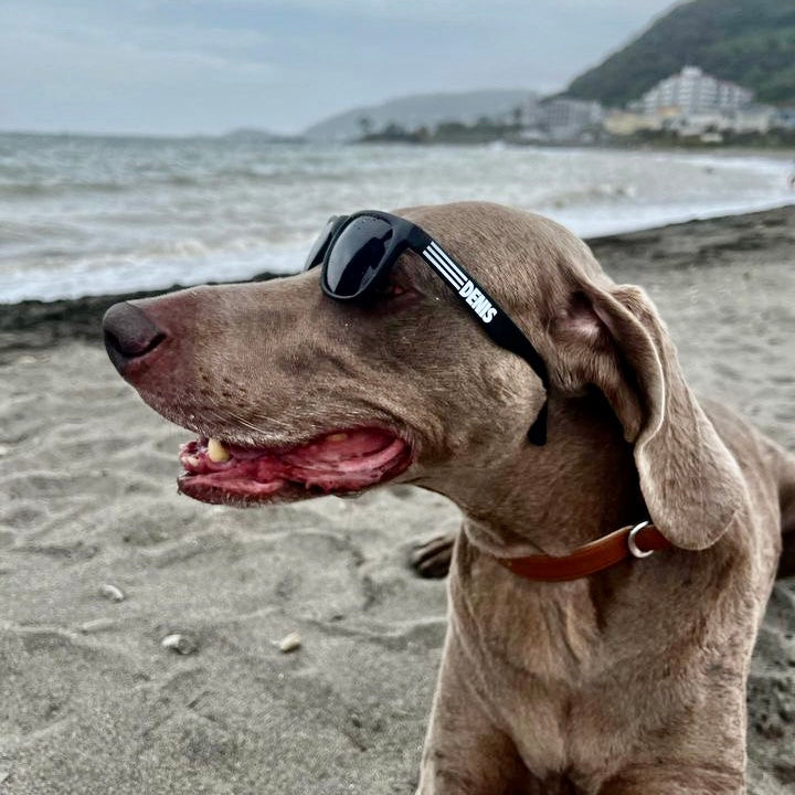 クルーサングラス