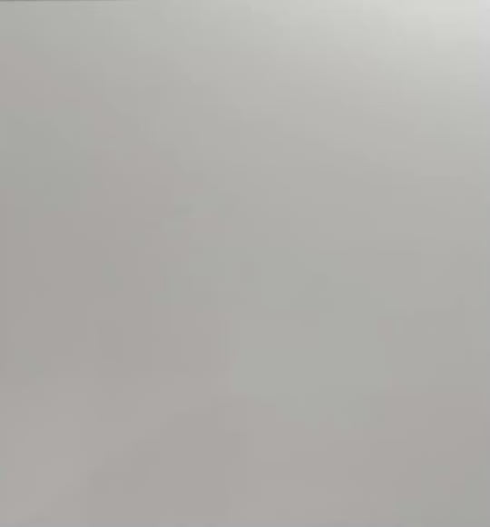 Zクリップ プロ – DENIS TOKYO